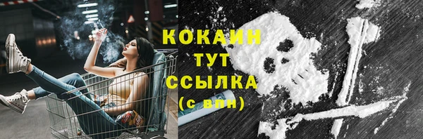 гашик Балахна