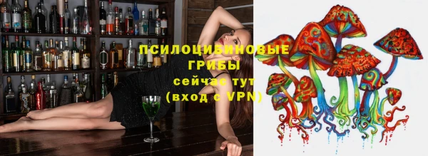 гашик Балахна