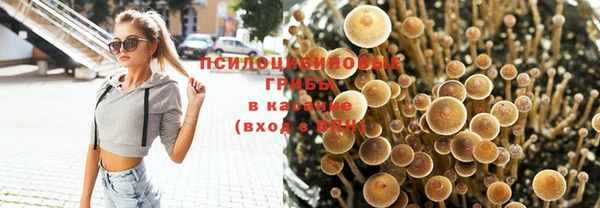 дживик Тихорецк