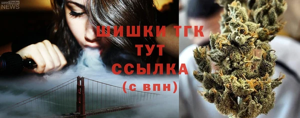 прущие грибы Тихвин