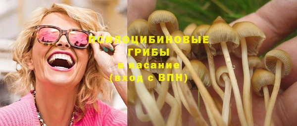 гашик Балахна